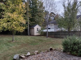 Leaf Removal by Michael Cherry for Elise T. in Charlotte, NC