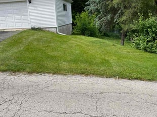 Michelle T.'s Lawn Mowing Service service result
