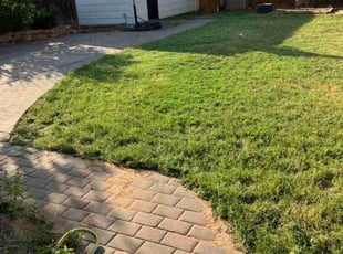 Jesus A.'s Lawn Care service result