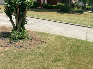 Bush Trimming by Andre Jefferson for Devecchic B. in Conyers, GA