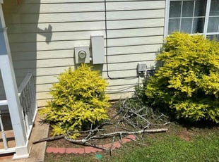 Weeding by Phillip StPreuve for Sarah B. in Suwanee, GA