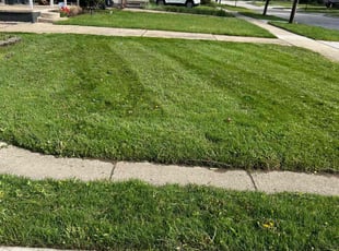 Robert Z.'s Lawn Maintenance service result