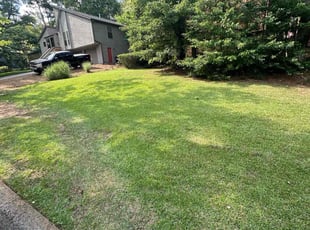 Shijing L.'s Lawn Care service result