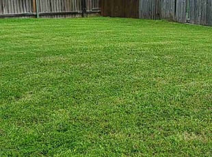 Joshua W.'s Lawn Service service result