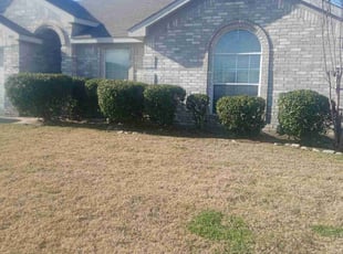 Bush Trimming by Jose Martinez for Michael B. in Mansfield, TX
