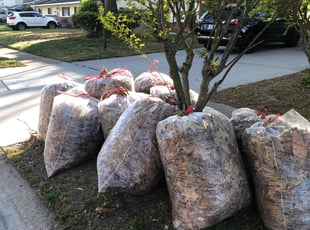 Leaf Removal by John Morrisroe for Christopher T. in Virginia Beach, VA