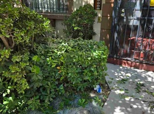 Bush Trimming by Huey Larsen for Eldona D. in Pasadena, CA