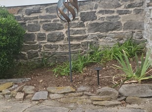 Weeding by Jared Johnson for Collin T. in Asheville, NC
