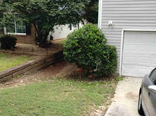 Bush Trimming by Lacie and Don Moore for Jack B. in Loganville, GA