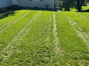 Cheryl S.'s Lawn Mowing Service service result