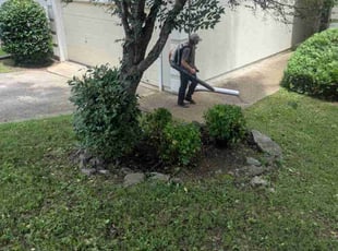 Bush Trimming by Justin Shugrue for William B. in Nashville, TN