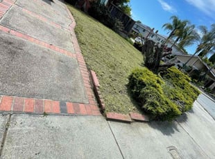 Sandra B.'s Lawn Mowing Service service result