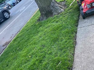 Cathy C.'s Lawn Care service result