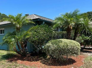 Bush Trimming by Efrain Marrero for Richard M. in Zephyrhills, FL