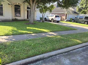 Marc R.'s Yard Cutting service result