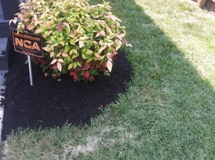 Penelope B.'s Mulching service result