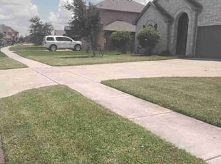 Vivian D.'s Lawn Service service result