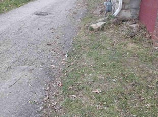 Leaf Removal by Andrew Hendrickson for Scott S. in Kansas City, MO