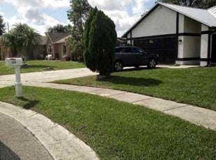 Francisco F.'s Lawn Care service result