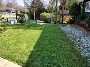 Remillo D.'s Lawn Service service result