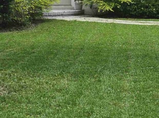 Christina M.'s Lawn Mowing service result