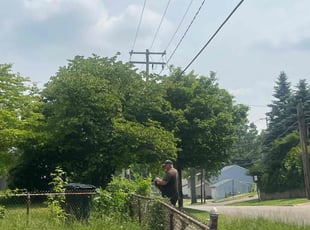 Bush Trimming by Christopher Noel for Danyelle W. in Akron, OH