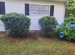 Bush Trimming by Henry Wilson for Chris S. in Douglasville, GA