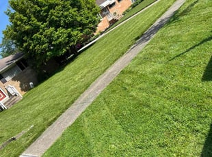 Kelly V.'s Lawn Service service result