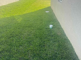 Cina R.'s Lawn Service service result
