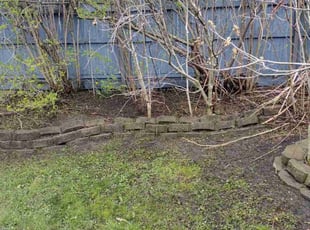 Weeding by Brad Luciano for Wayne R. in Buffalo, NY