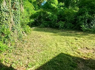 Cleanups by Mark Redden for Jake G. in Atlanta, GA