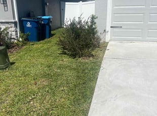 Cleanups by William Harvey for Dominic S. in Davenport, FL