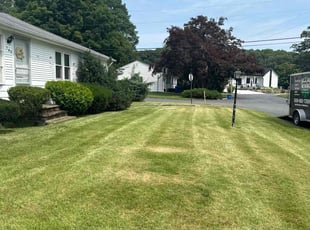 John B.'s Yard Cutting service result
