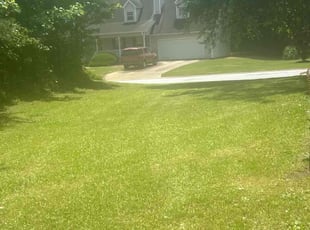 Steve P.'s Yard Cutting service result