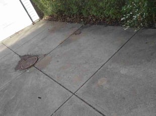 Leaf Removal by Elizabeth Williams for Christian G. in Euclid, OH