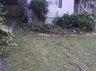 Bush Trimming by Cedric Ball for Jeremy G. in Birmingham, AL
