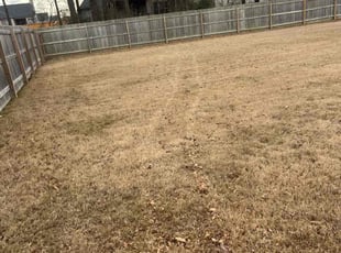 Leaf Removal by James Franks for Jerry F. in Cordova, TN