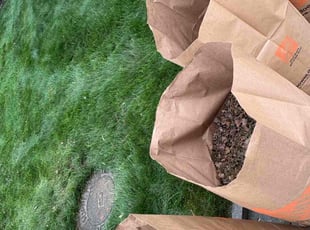 Leaf Removal by Jesse Ledesma for Sharon F. in Rochester Hills, MI