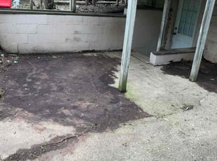Cleanups by Marco Zapata for Caela S. in Peoria, IL