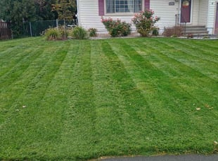 Colleen F.'s Lawn Care service result