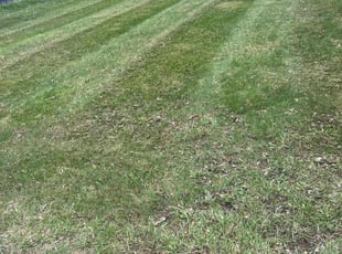 Leaf Removal by Santos Blanco for Yusuf Y. in Apple Valley, MN