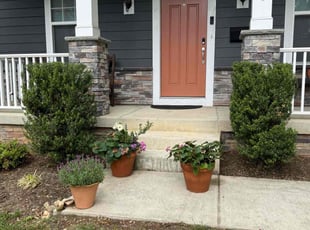 Cleanups by Eduardo Guzman for Bridget S. in Falls Church, VA