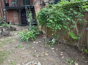 Leaf Removal by Steven Foster for Margaret J. in Washington, DC