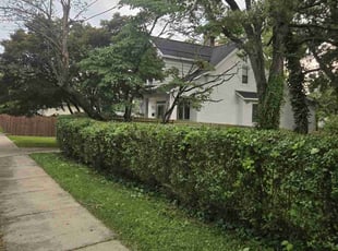 Bush Trimming by Andre Ruffin for Raziah M. in Baltimore, MD