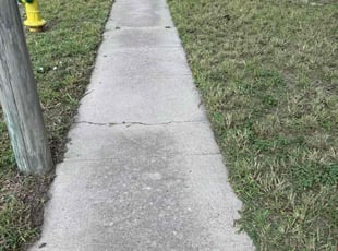 Weeding by Heriberto Lopez for Mike L. in Corpus Christi, TX