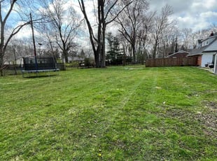 Curtis G.'s Lawn Mowing service result