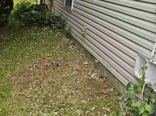 Leaf Removal by David Garcia for Sharon Y. in Indianapolis, IN