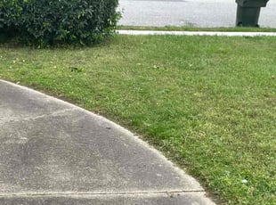 Bush Trimming by James Mozelle for Brian C. in Hampton, VA