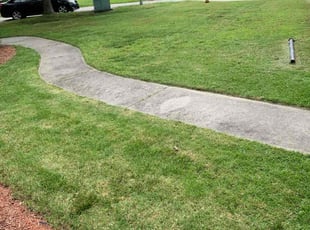 Elliott B.'s Grass Cutting service result