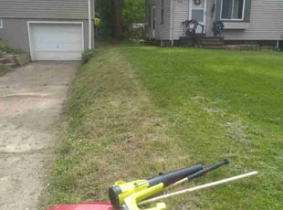 Jordan D.'s Yard Cutting service result